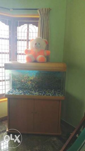 Beautiful Aquarium with Heavy filter for sale for