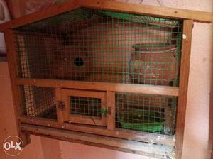 Birds Cage for urgent sale