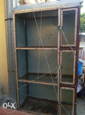 Birds cage. 5 feet height and 3 feet length approx.