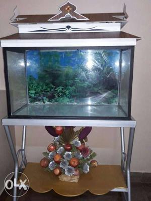 Brown And White Wooden Framed Pet Tank