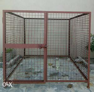 Cage for Dog. Size 4X4