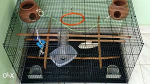 Cage with lot of accessories like perch, toys, watr and food