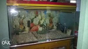 Clear Brown Wooden Cabinet Pet Tank