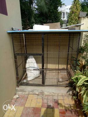 Dog cage 6 lx3 wx5 h one yr old. nine nine one