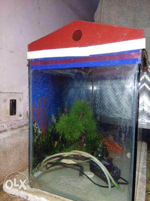 Fish Tank with cover, artificial stones and