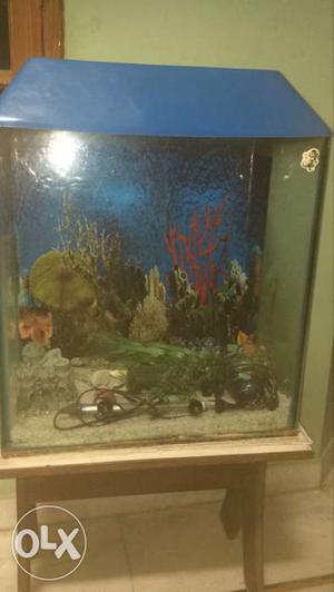 Fish aquarium 2x2.5 feet in excellant condition.