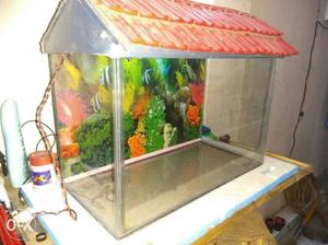 Fish tank for sale good condition