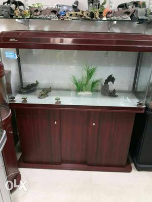 Fish tank marine and freshwater suitable 3