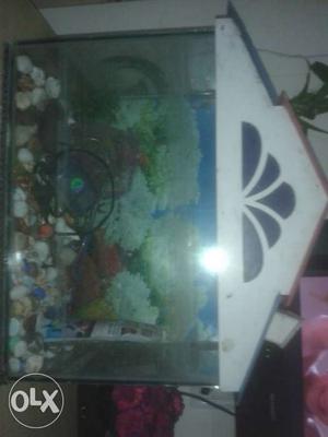 Fish tank with all other accessories in good