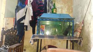Fish tank with table urgent sll