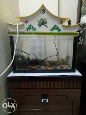 Fish tank with working filter
