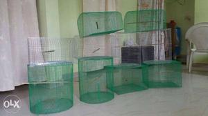 Green And Silver Bird Crates