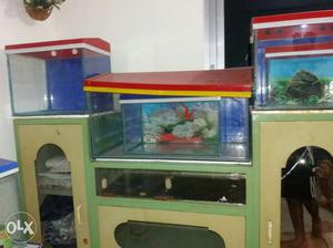 I want to sell my 23 aquariums with air pumps and