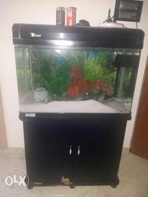 Imported fish tank with stand and filter