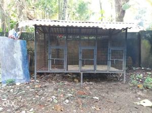 Strong iron dog cage. Two storeyed. Suitable for