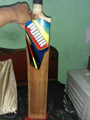A new leather bat not much used new and good