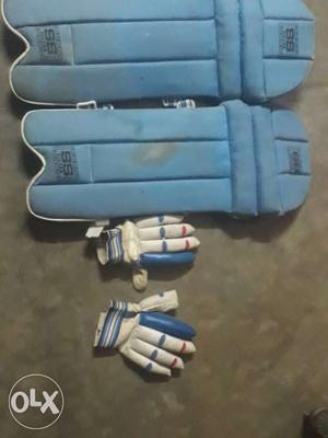 Blue Shin Guards And White Gloves