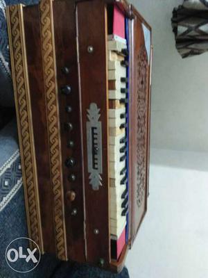 Brown And White Accordion