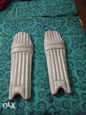 Cricket batting pads for juniors