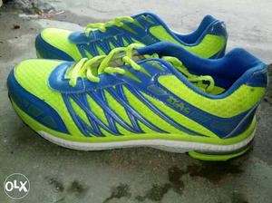Green-and-blue Stag Athletic Shoes