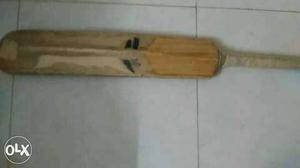 This is kashmiri Willow Sg bat in new condition