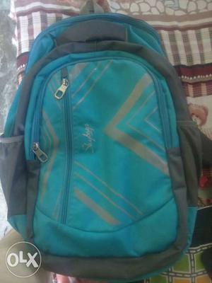 Blue And Black Backpack]