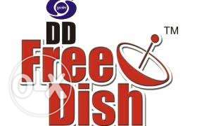 DD free dish at wholesale price
