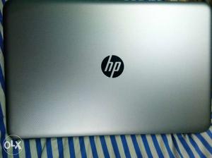 Gray HP Laptop