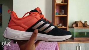 New Adidas shoes selling price /-