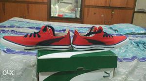 Puma sneakers size 6 Sneakers With Box
