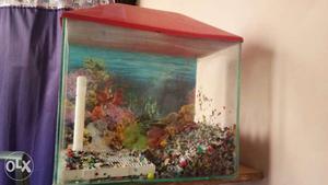 1.5 feet aquarium good for beginner and for betta