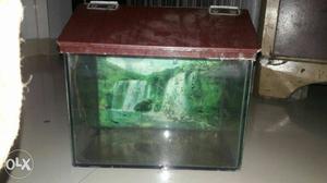 1.5 fit Aquarium our upar ka patra,2 kg stone