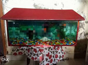 2.8 ft long 9inch wide 1ft deep aquriam with all