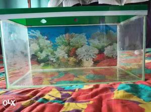 2 foot/ 1 foot aquarium with top cover and