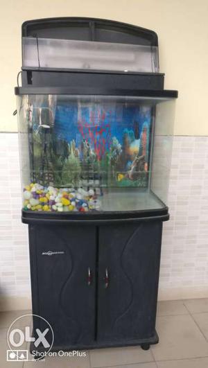 2ft wide Aquarium with Wooden stand