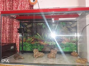3ft tank with 21inch height and weight 18inch New