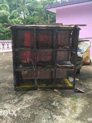 9 box cage
