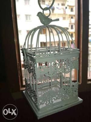 A strong bird cage