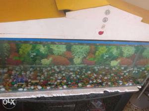 Aquarium for sale