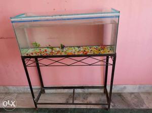 Aquarium for sale with iron stand