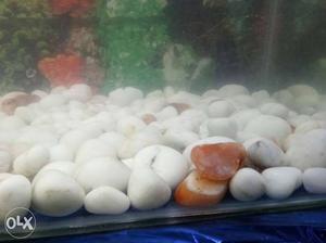 Aquarium gravels 10kg pure white urgent sell