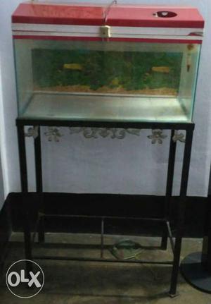 Aquarium with metal stand