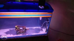 Aqurium for sale with all other stuffs hurry up quick chat