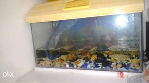 Beige Wooden Frame Fish Tank