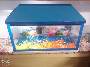 Blue Framed Fish Tank