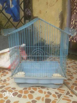 Blue Steel Bird Cage