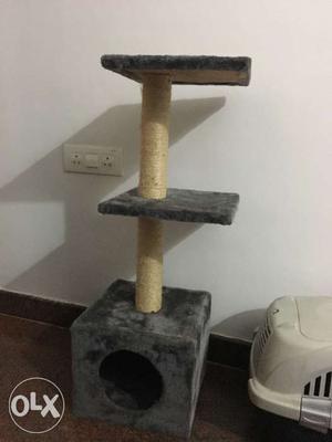 Cat Towerr