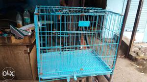 Cat or love bird cage