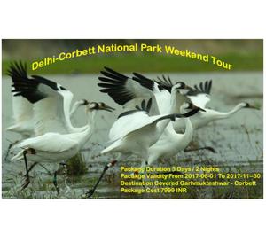 Delhi-Corbett National Park Weekend Tour Noida