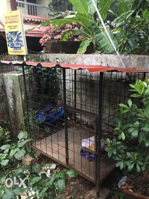 Dog cage for big dogs on immediate sale. Contact